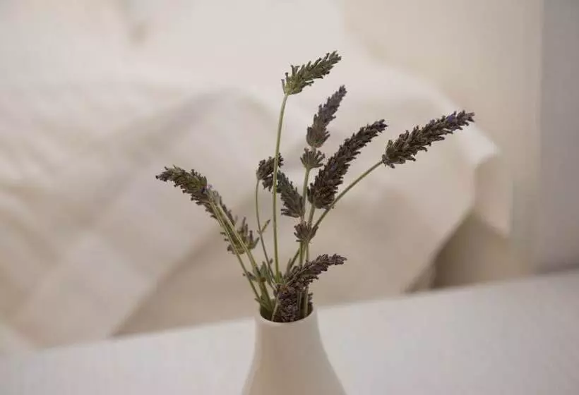 Hotel Aphrodite Samos Suites