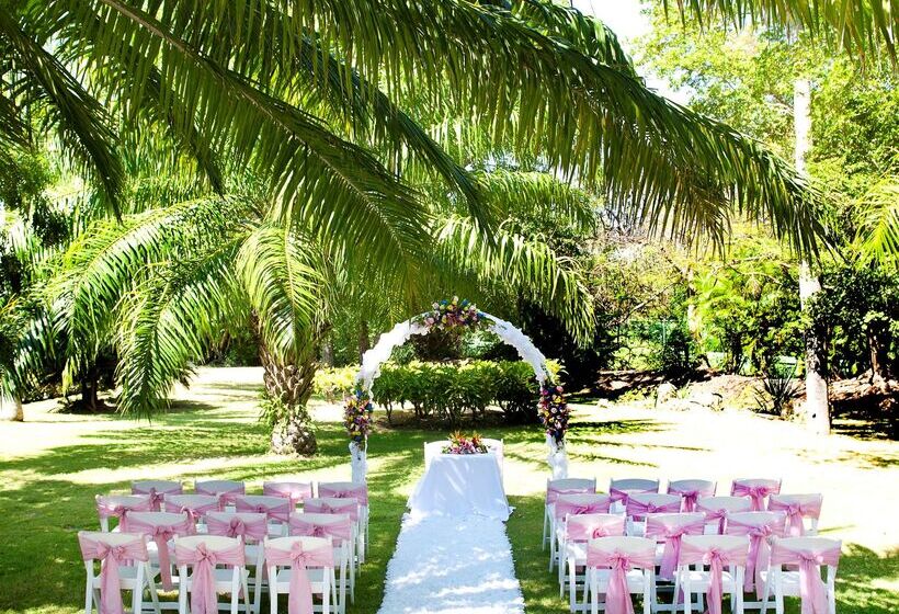 ホテル Barcelo Bavaro Beach Adults Only All Inclusive