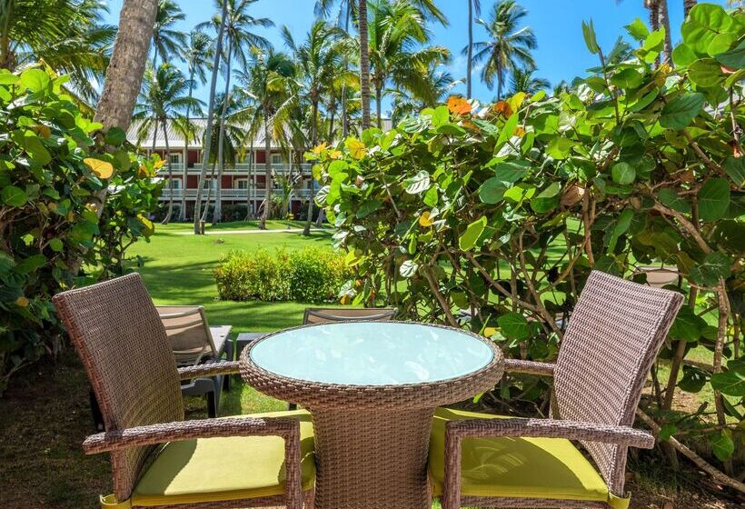 ホテル Barcelo Bavaro Beach Adults Only All Inclusive