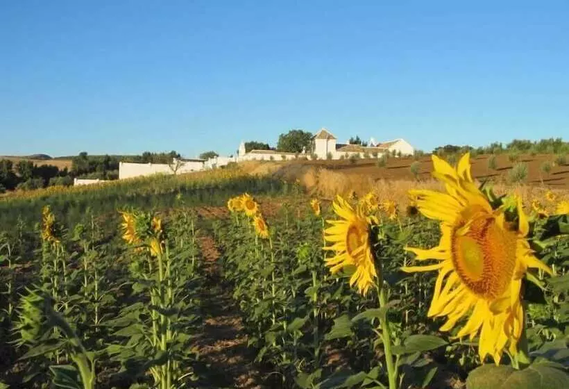 Отель Cortijo El Guarda