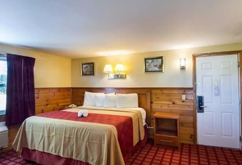 酒店 Econo Lodge By Choice   Cape Cod