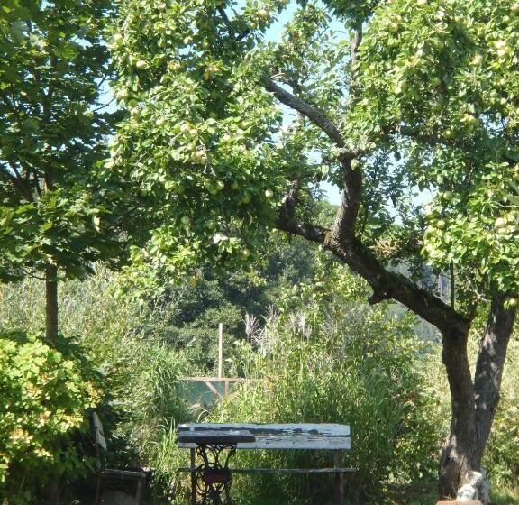 הוסטל Penzion Javorský Mlýn