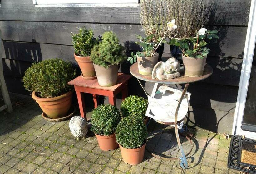 Bed and Breakfast D Ouwe Stal