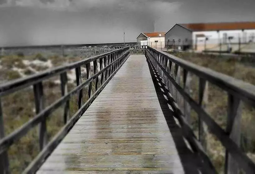 בית מלון כפרי Alaska