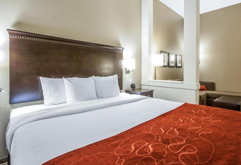 酒店 Comfort Suites Marietta Parkersburg