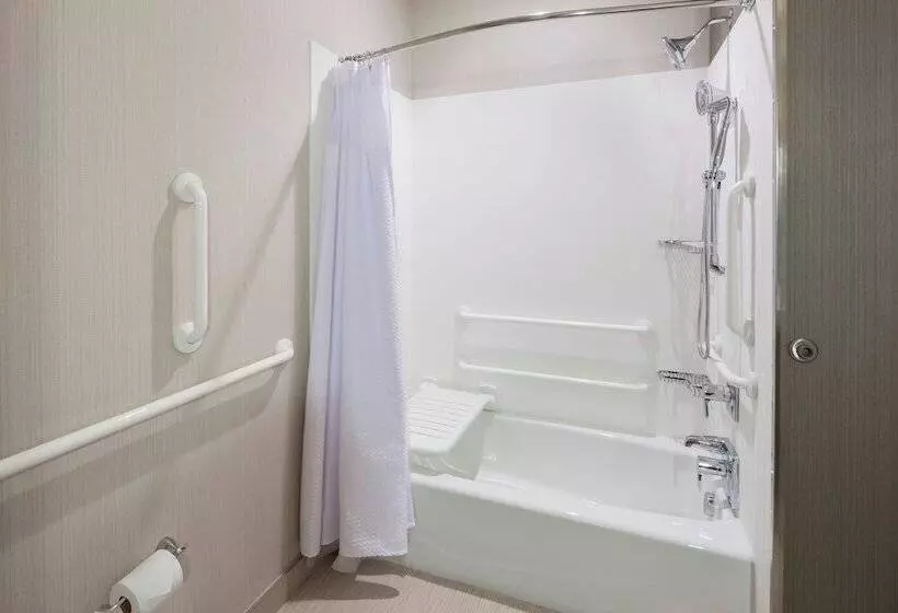 בית מלון כפרי Courtyard By Marriott Houston North/shenandoah