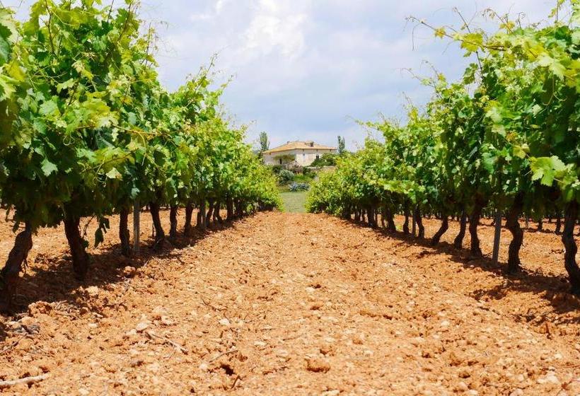 乡村酒店 Mas Castell De Gimenelles