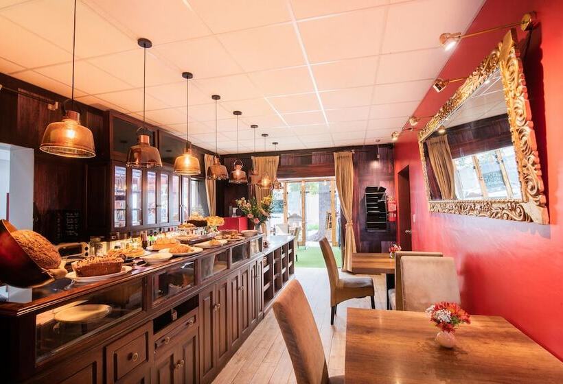 Dreams Hotel Boutique