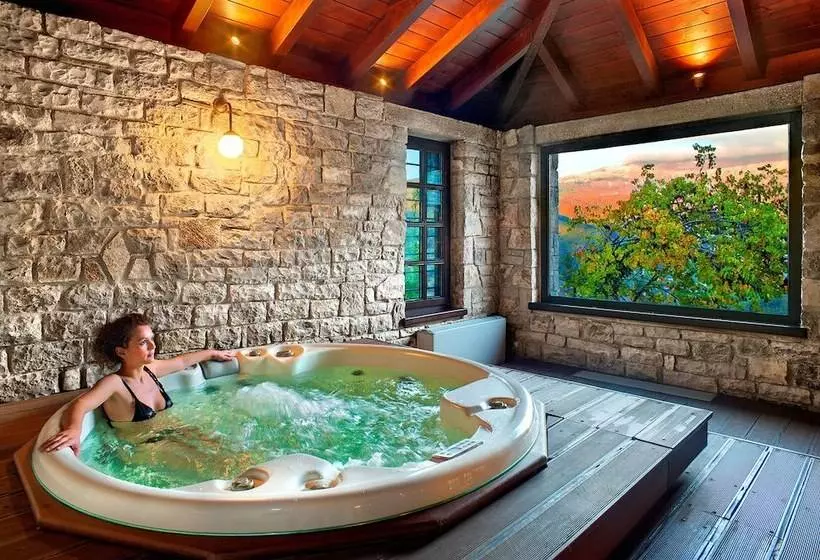 Отель Aristi Mountain Resort