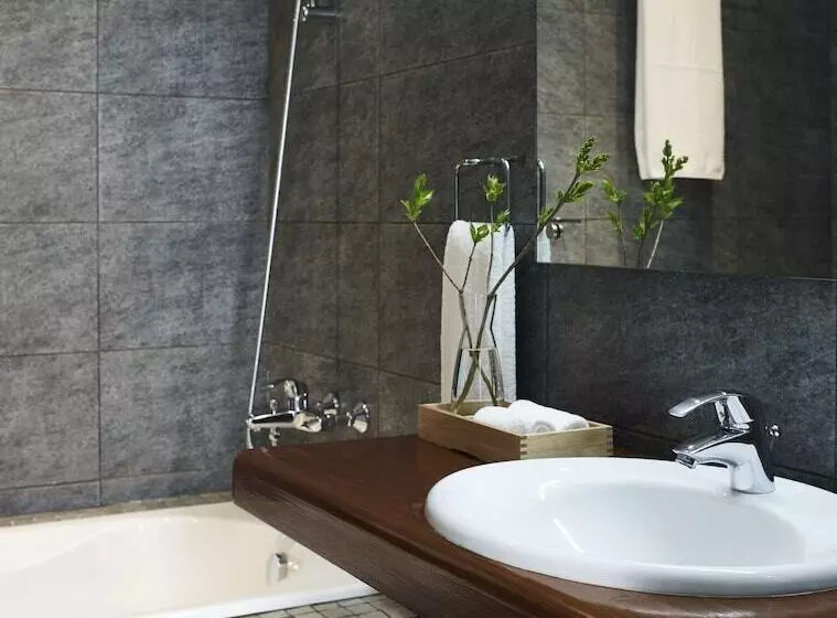 Отель Aristi Mountain Resort