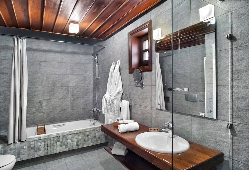 호텔 Aristi Mountain Resort