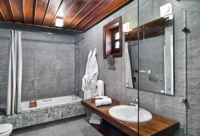 Отель Aristi Mountain Resort