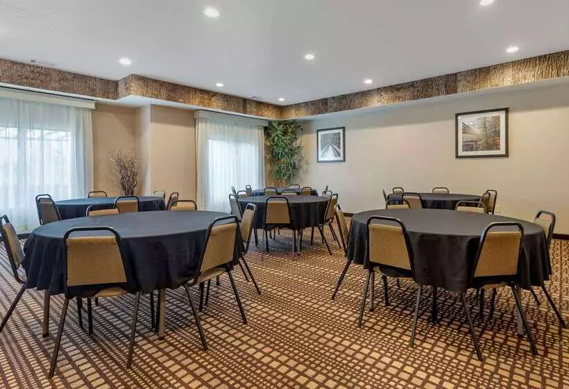 Szálloda Comfort Inn & Suites