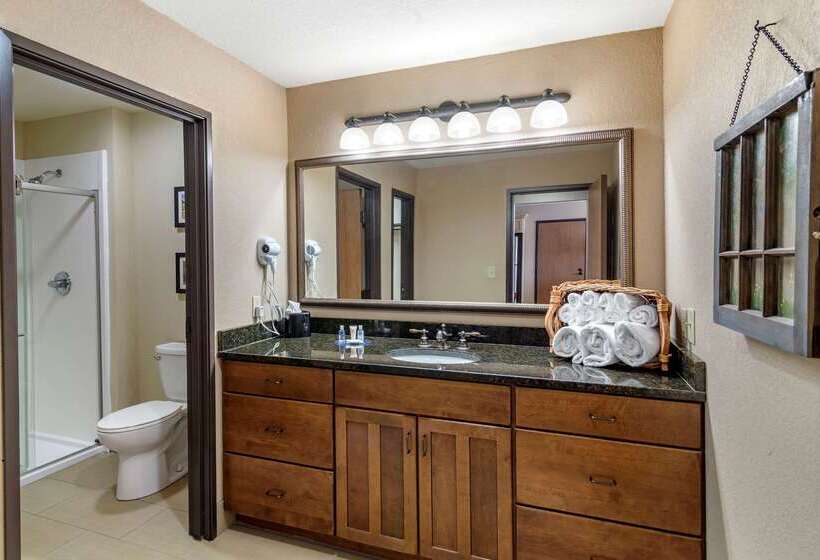 هتل Comfort Inn & Suites