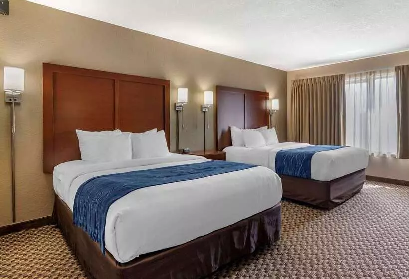 Szálloda Comfort Inn & Suites