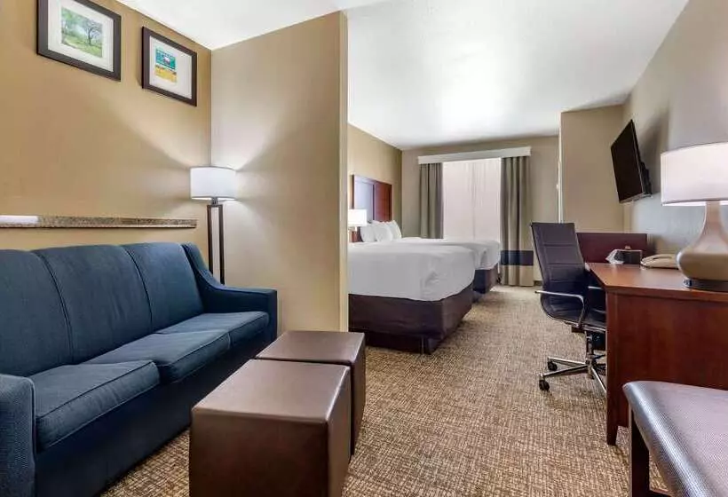 ホテル Comfort Inn & Suites Near Lake Lewisville