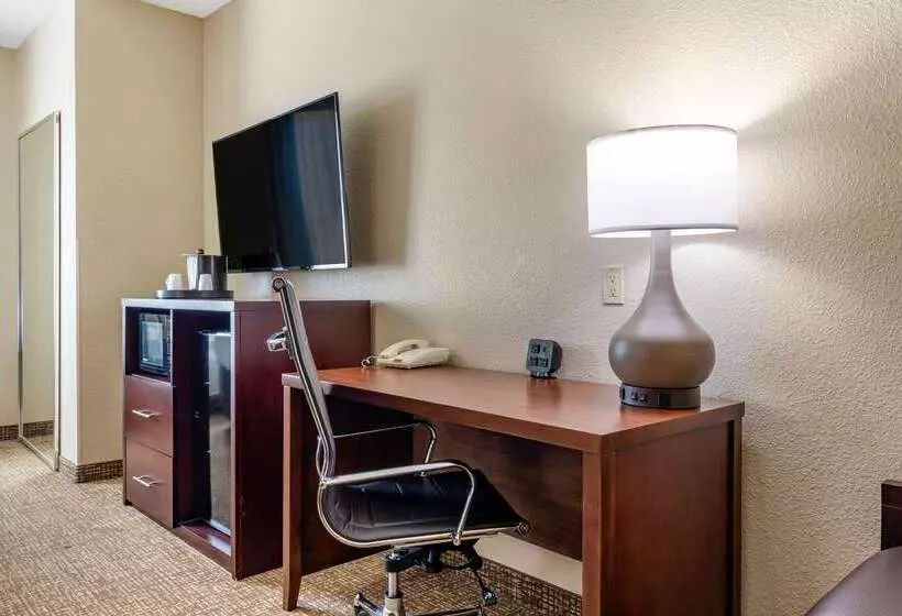 ホテル Comfort Inn & Suites Near Lake Lewisville