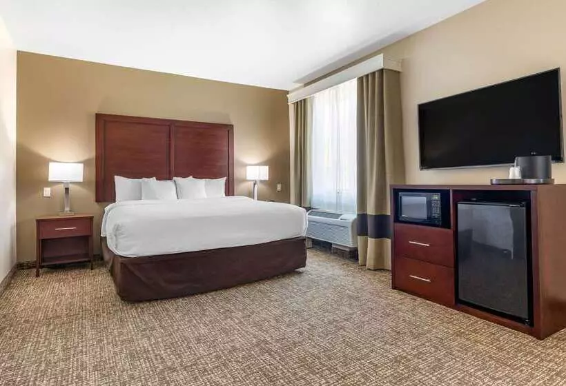 ホテル Comfort Inn & Suites Near Lake Lewisville