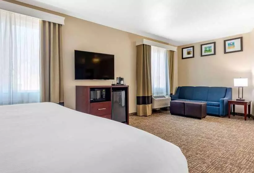 ホテル Comfort Inn & Suites Near Lake Lewisville