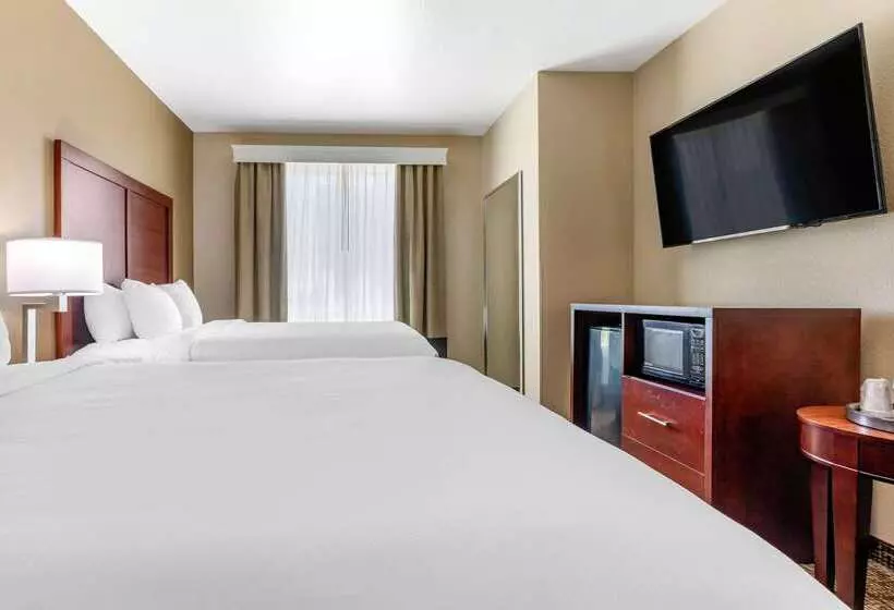 ホテル Comfort Inn & Suites Near Lake Lewisville