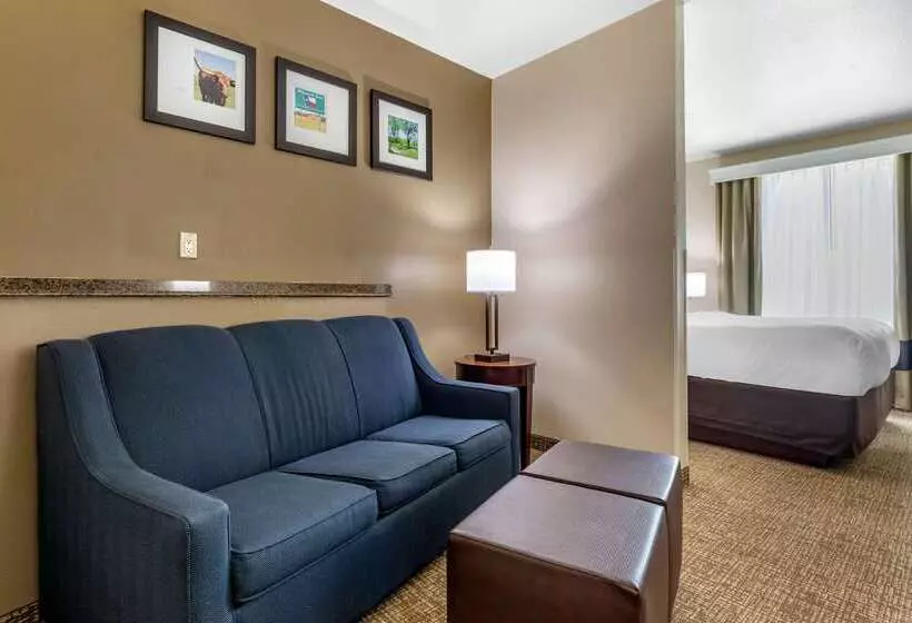 ホテル Comfort Inn & Suites Near Lake Lewisville