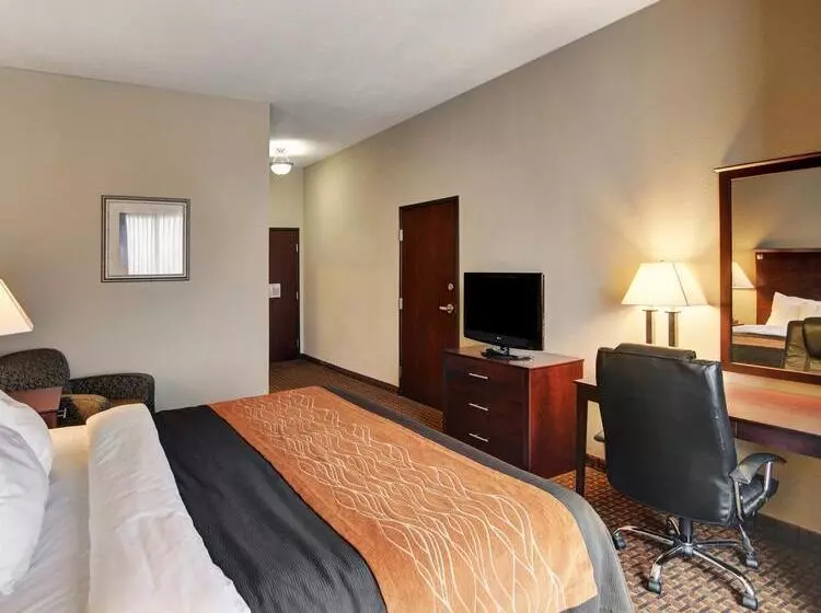 ホテル Comfort Inn & Suites Near Lake Lewisville