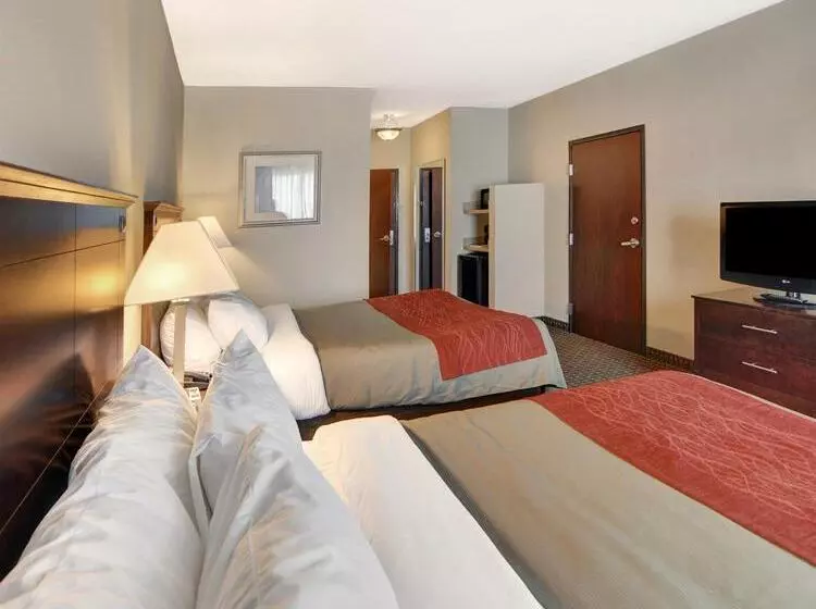 ホテル Comfort Inn & Suites Near Lake Lewisville
