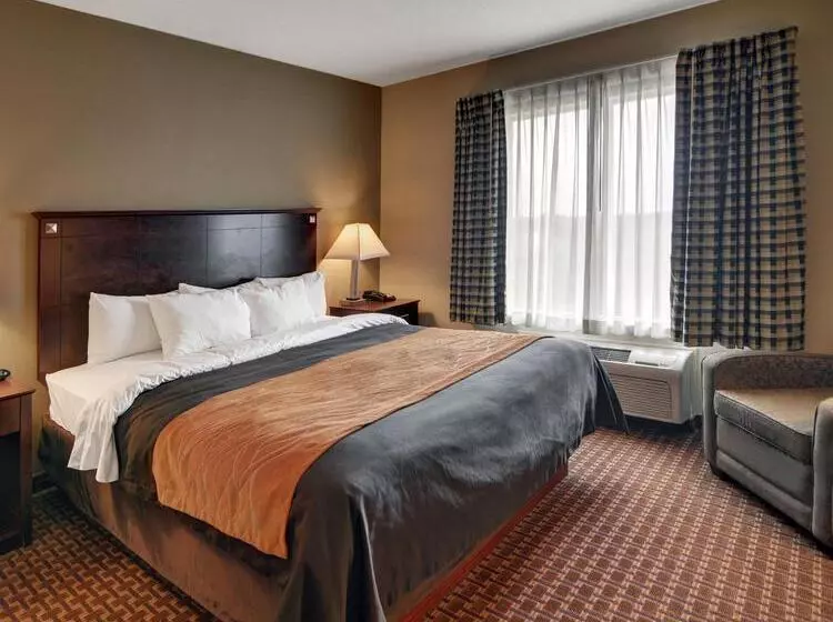 ホテル Comfort Inn & Suites Near Lake Lewisville