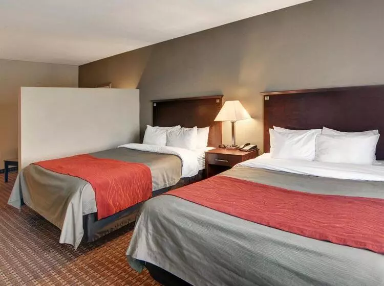 ホテル Comfort Inn & Suites Near Lake Lewisville