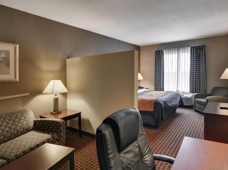 ホテル Comfort Inn & Suites Near Lake Lewisville