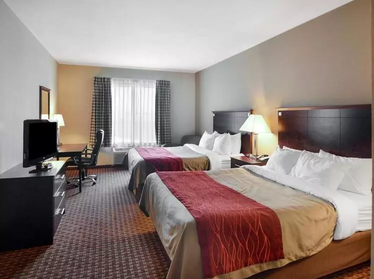ホテル Comfort Inn & Suites Near Lake Lewisville