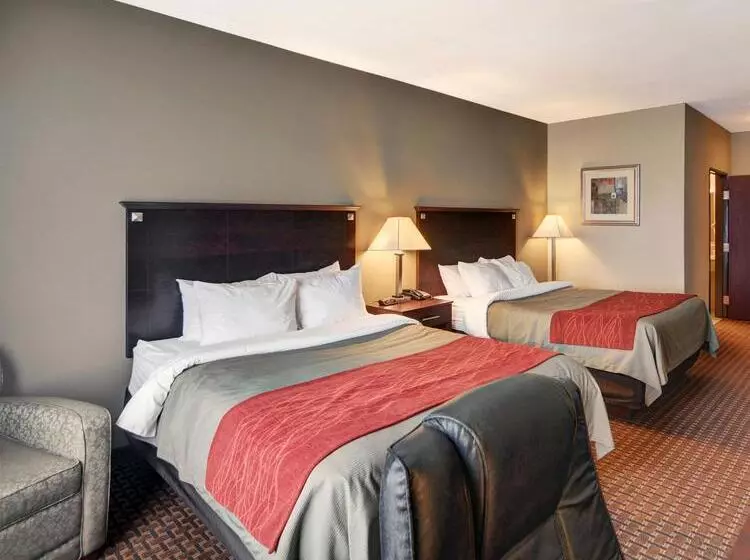 ホテル Comfort Inn & Suites Near Lake Lewisville