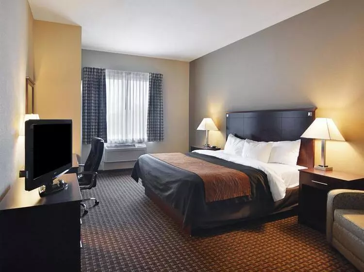 ホテル Comfort Inn & Suites Near Lake Lewisville