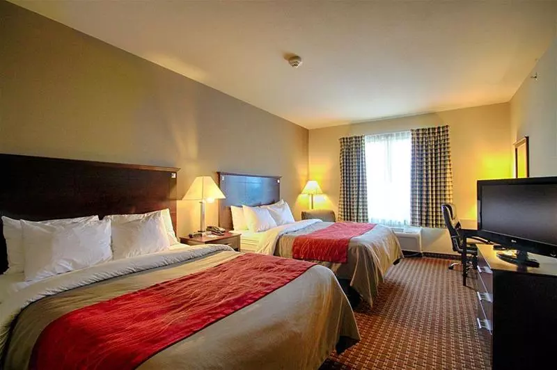 ホテル Comfort Inn & Suites Near Lake Lewisville
