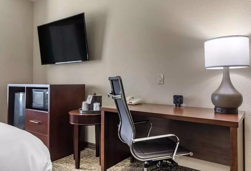 ホテル Comfort Inn & Suites Near Lake Lewisville