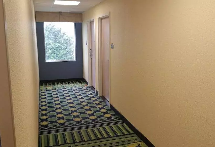 ホテル Days Inn By Wyndham Chattanooga/hamilton Place