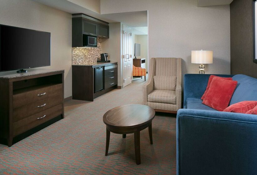 فندق Hilton Garden Inn Manhattan