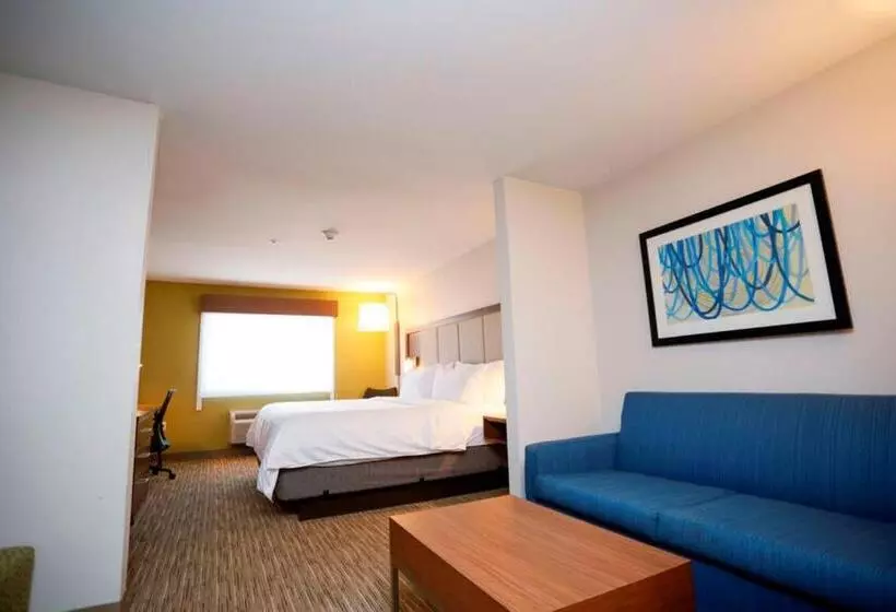 Holiday Inn Express Hotel & Suites Carlsbad, An Ihg