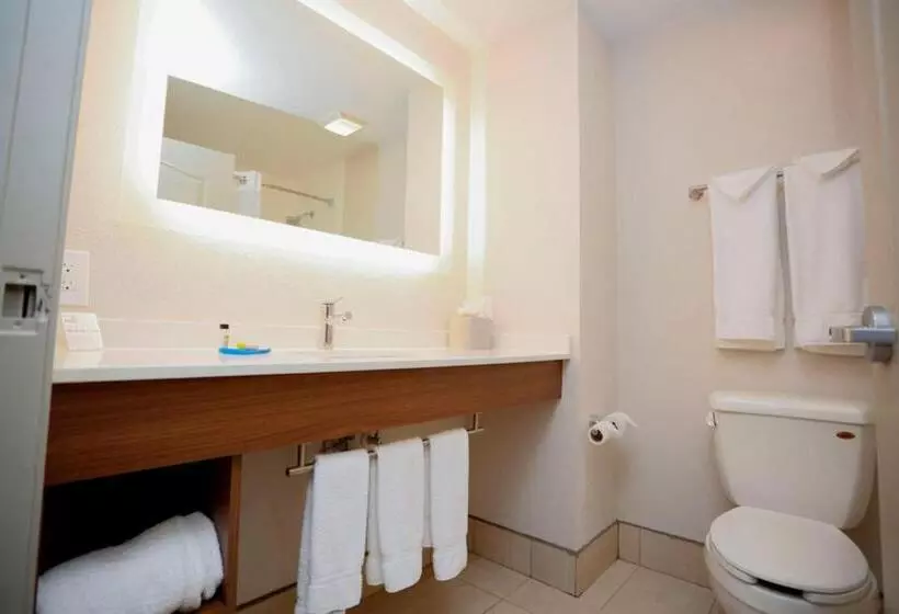 Holiday Inn Express Hotel & Suites Carlsbad, An Ihg