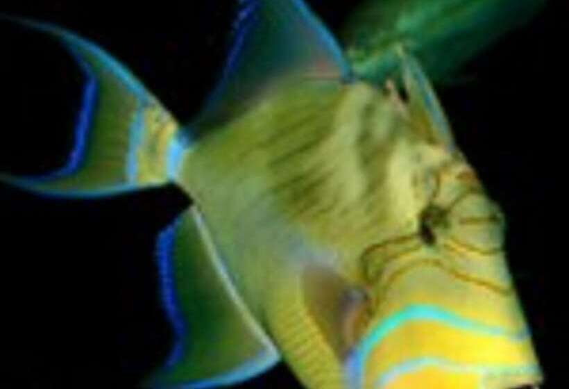 فندق Holiday Inn Express & Suites Morehead City, An Ihg