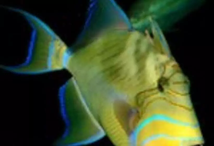 酒店 Holiday Inn Express & Suites   Morehead City, An Ihg