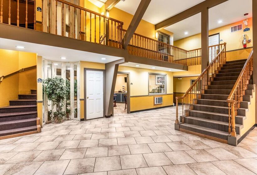 ホテル Americas Best Value Inn Searcy