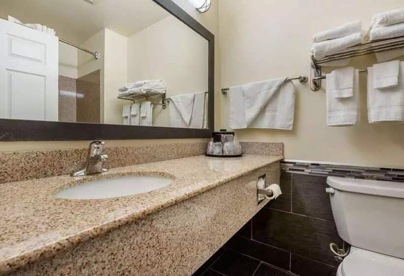 Отель Mainstay Suites Grantville Hershey North