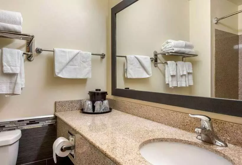 Отель Mainstay Suites Grantville Hershey North