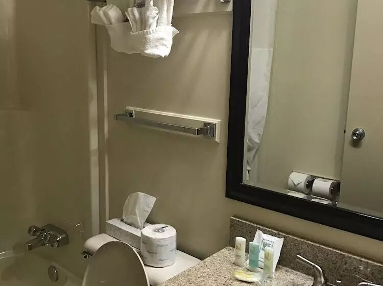 בית מלון כפרי Quality Inn & Suites