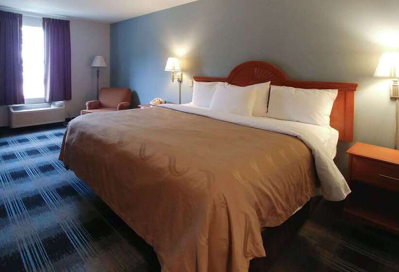 酒店 Quality Inn Dublin I81