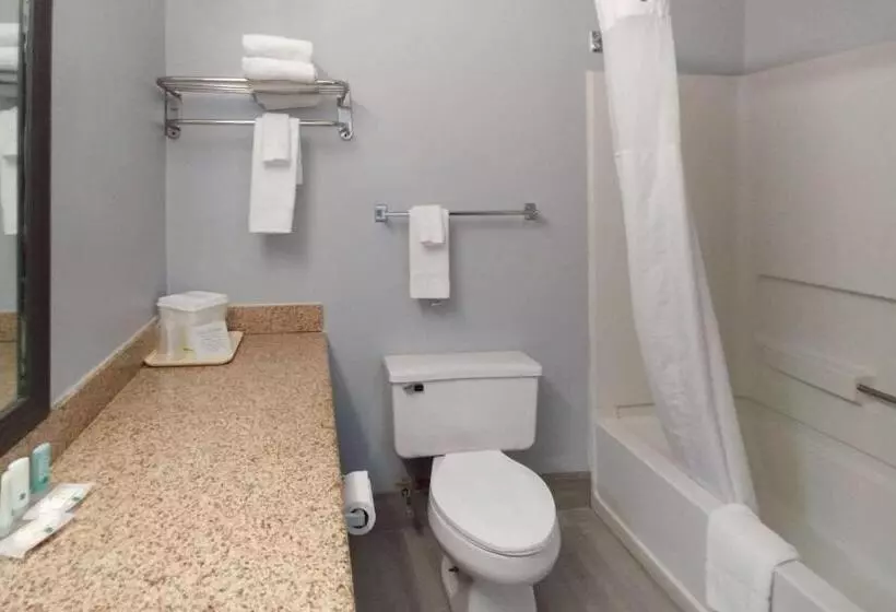 酒店 Quality Inn Dublin I81