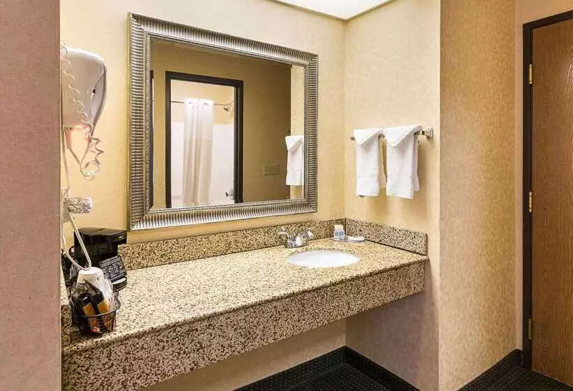 酒店 Quality Inn Parkersburg Northvienna