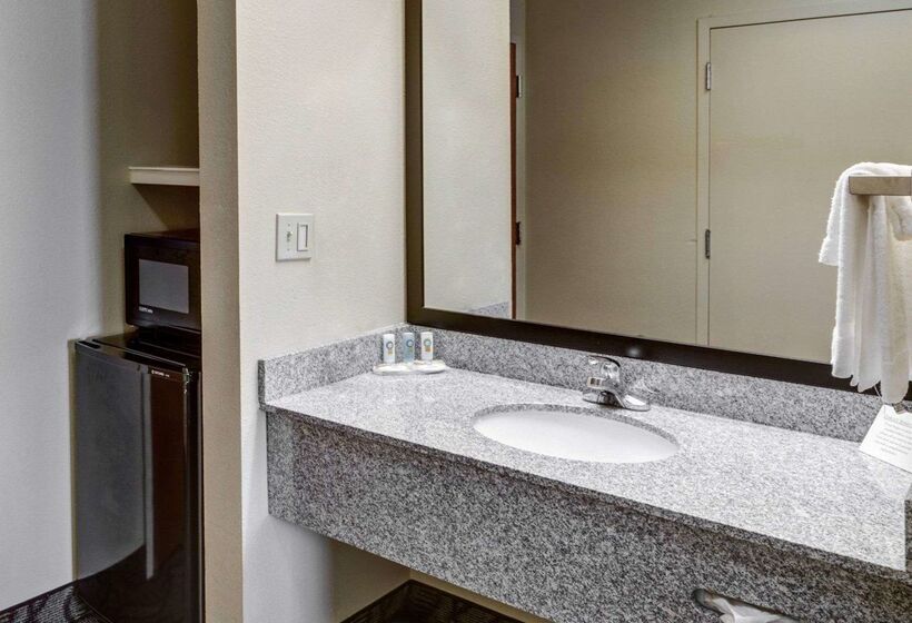 فندق Quality Suites Baton Rouge East  Denham Springs