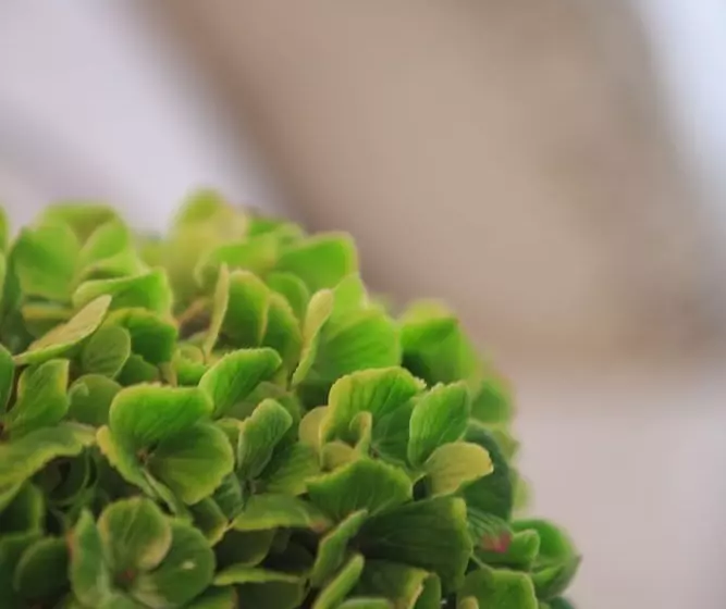 בית מלון כפרי Renaissance Denver Downtown City Center